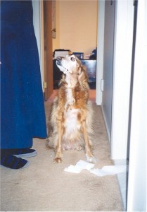 scan0005