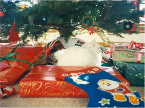 scan0003a