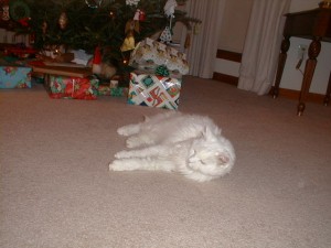 ChristmasEve00