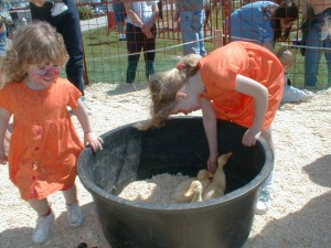 PettingZoo04