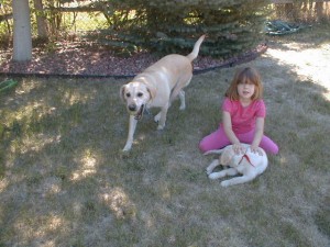 PuppyPickUp18