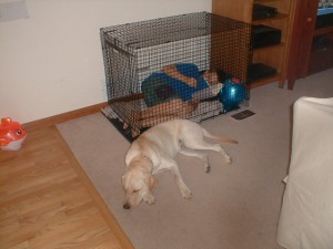 PIC00009