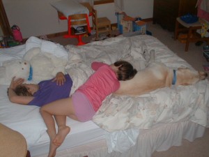 PIC00010a