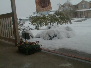 PIC00014