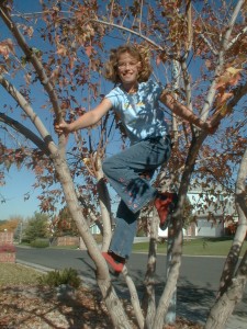 PIC00018b