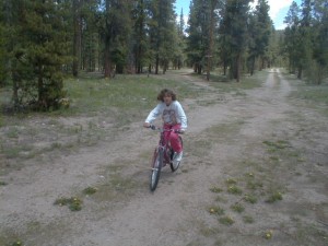 PIC00022
