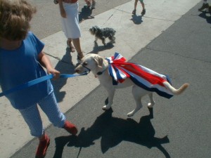 PIC00031