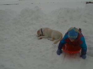 PIC00072