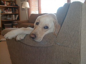 040118PIC00021