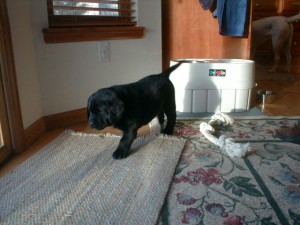 040122PIC00026
