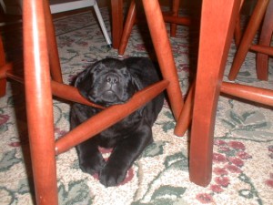 040403PIC00009