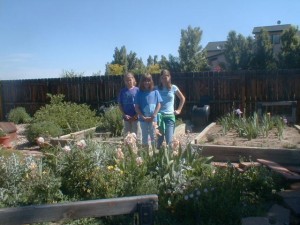 PIC62621