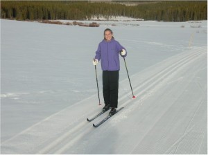 2006
