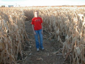 corn maze
