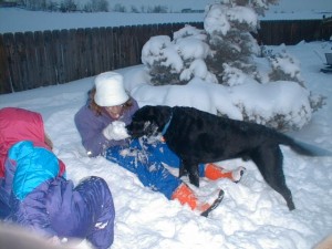 kallie and jedi eating snow