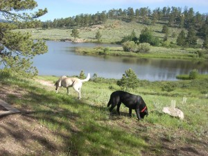 Travel:  West Lake Campground