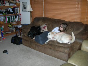 Augie and Copper