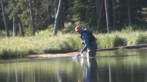 Travel:  Spiney Lake Campground